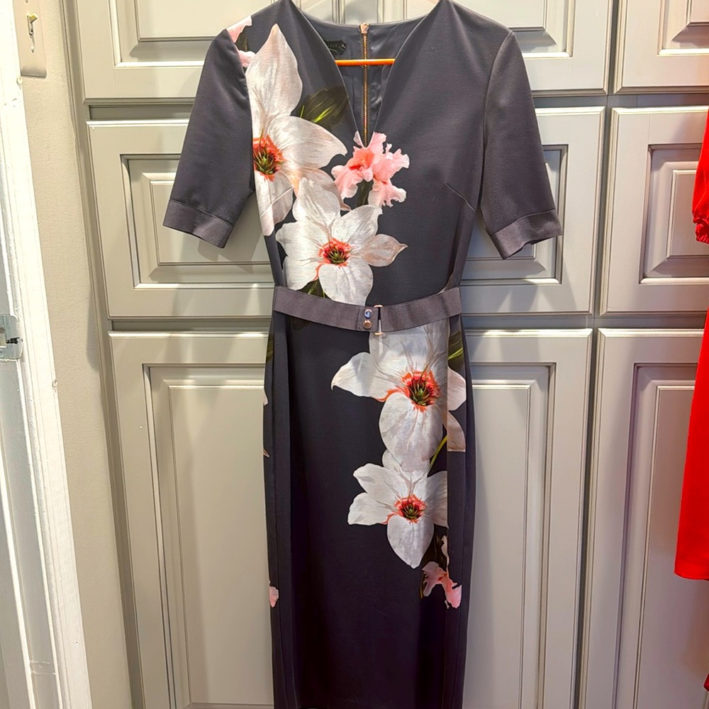 Ted Baker London Dress Size 1 (US SIZE 0/2)
